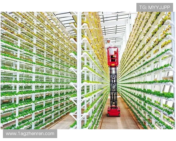 白菜社区网：打造温馨互动的网络家园