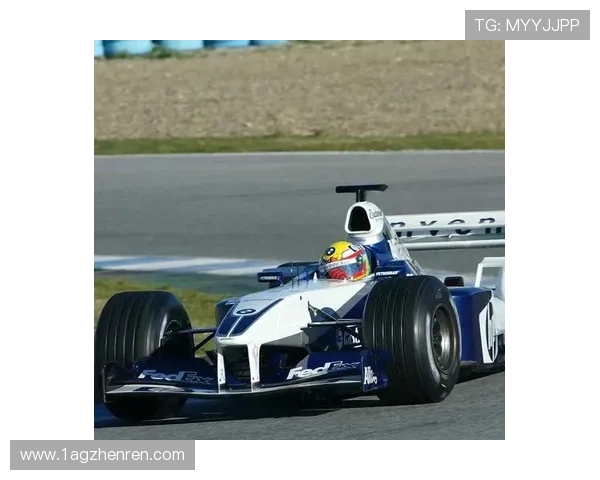 F1比赛中速度的较量：谁能称霸赛道？